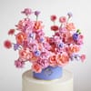 Plum Melody Online