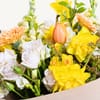 Buy Pre-Spring  Bouquet
Premium