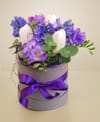 Purple spring Online