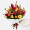 Radiant Blooms Bouquet Online
