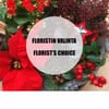 Red Christmas planting, florist's choice Online