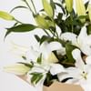 Seasonal Lily Bouquet Online