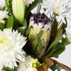 Gift Seasonal Neutral Bouquet in a Vase