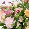 Buy Soft and Pretty Posy