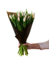 Soft Pink Tulips 240122 Online