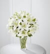 Spirited Grace Lily Online