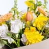 Buy Spring Bouquet