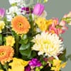 Gift Spring Bouquet in a Vase