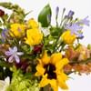 Buy Summer Posy