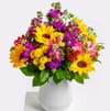 Sunny Greetings Online