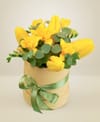 Sunny spring Online