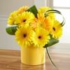 Sunny Surprise Bouquet Online