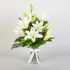 Sympathy Lilies Online