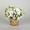 Sympathy Rose Basket Online