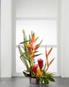 The FTD Island Breeze Arrangement Online