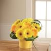 The FTD Sunny Surprise Arrangement Online