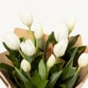 Shop Tulip Bouquet