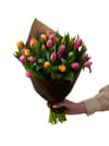 Vibrant Tulips 240119 Online