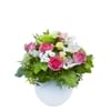 Winter Bouquet Romance Online