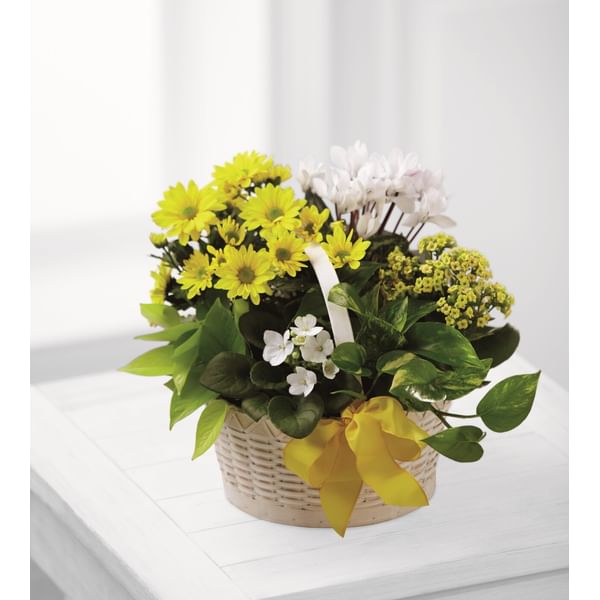 A Bit of Sunshine Basket by FTD