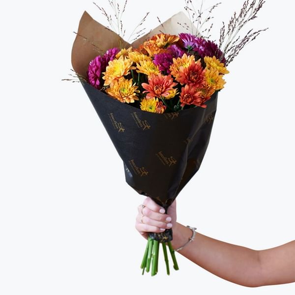 Autumn Chrysanthemum 240414