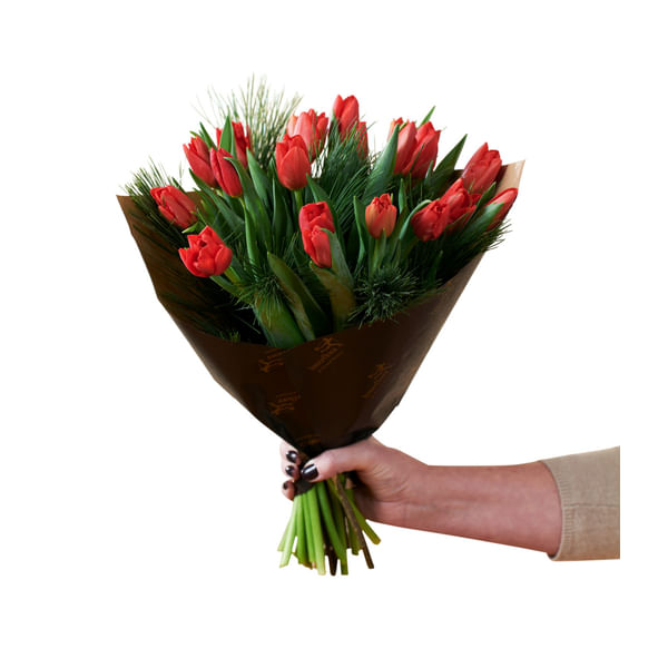 Christmas Tulips Red 240515