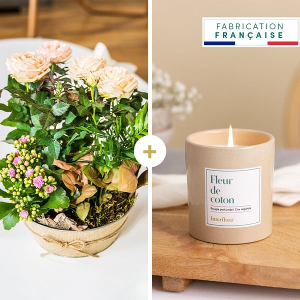 Coin de paradis et bougie - Paradise and candle