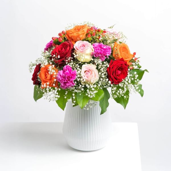 Colourful and refined