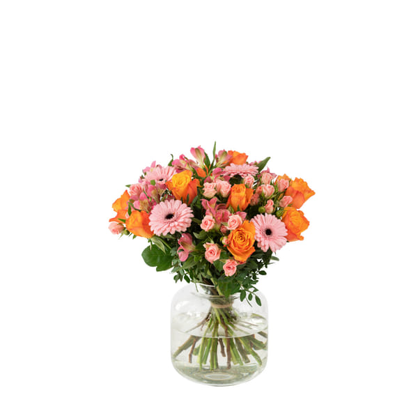 Congratulations 242606