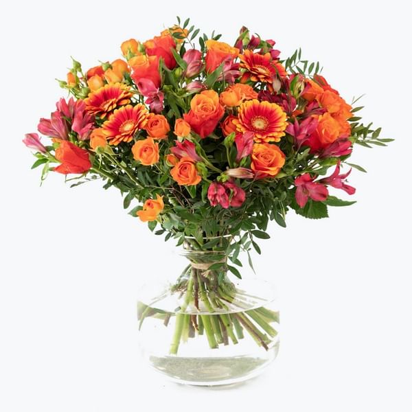 Congratulations 242609