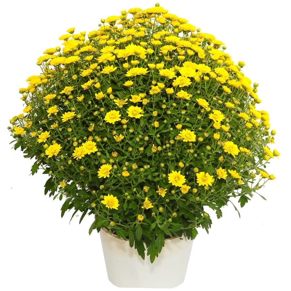 Full of autumn feelings