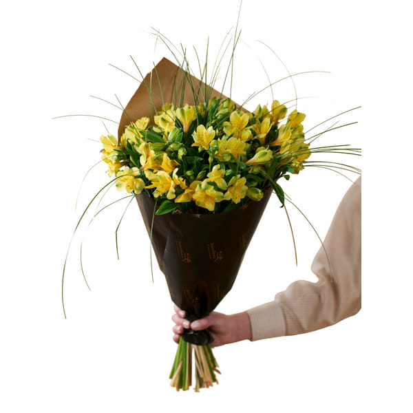 Gorgeous Yellow Alstromeria 240137