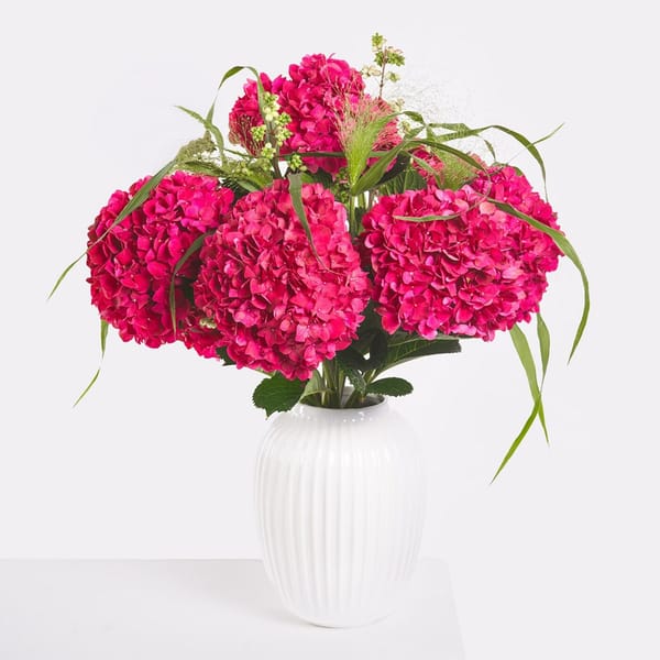 Hydrangea Delight
