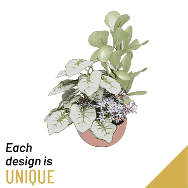 Planted Bowl-Arrangement