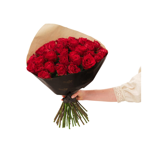 Red roses 40 242685