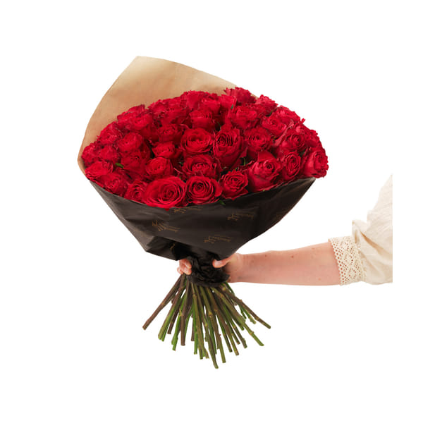 Red roses 50 242686