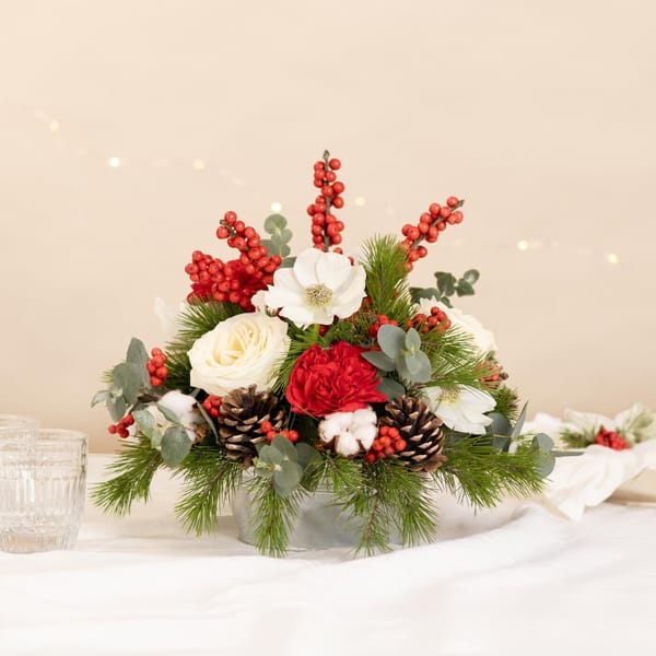 Sous le sapin -  Under the christmas tree