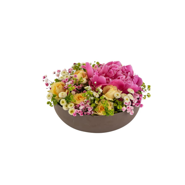 Summer Bowl 250334