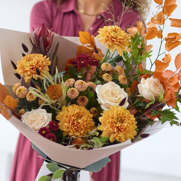 The Chrysanthemum Glow
