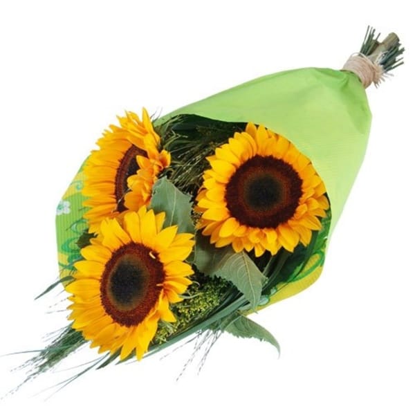 Three sunflowers composition