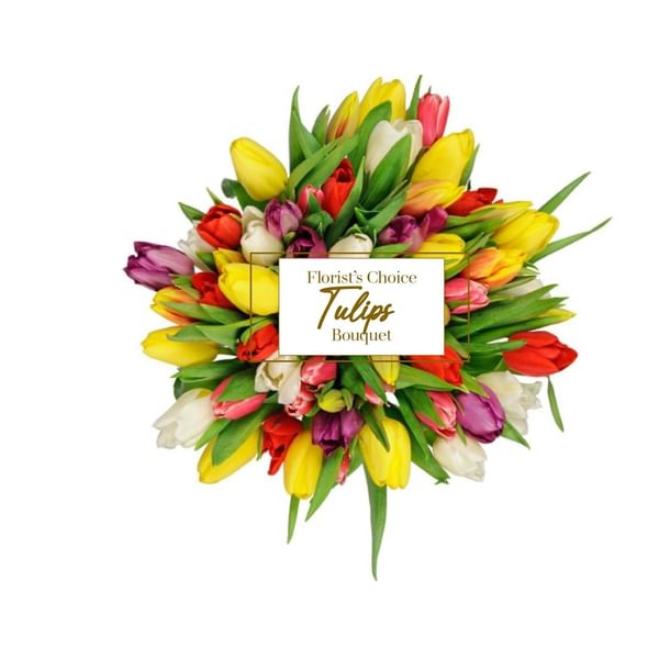 Tulips Florist Choice Bouquet