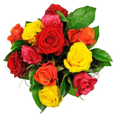 Unified Roses Send Flowers From NZ to Egypt | Affection Mixed Roses | Interflora