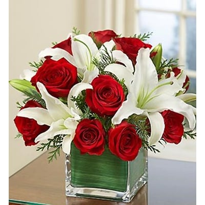 Send Flowers From NZ to Turkey | Arrangement of Red Roses and White ...