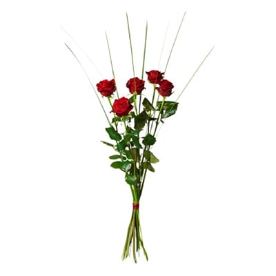 Bouquet of 5 red roses | Interflora